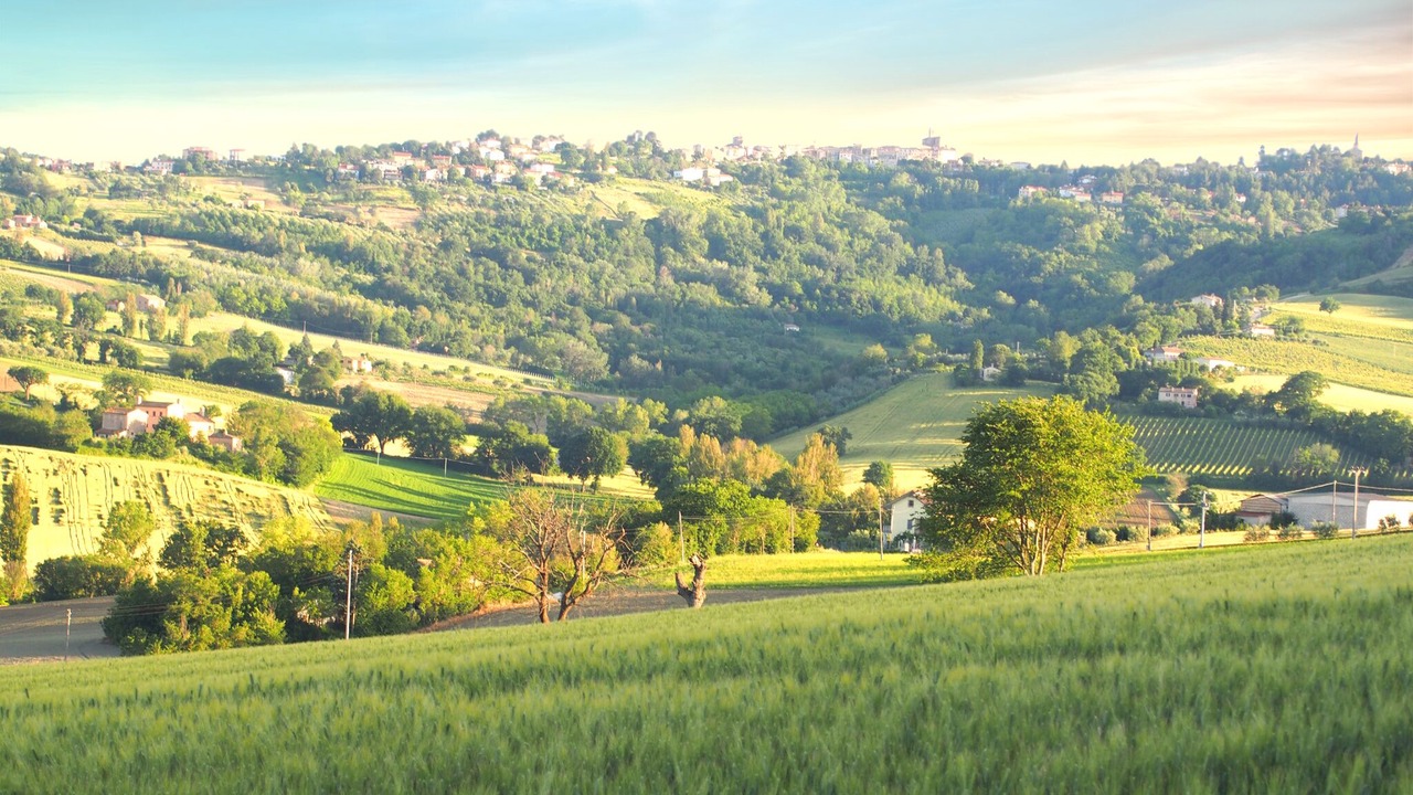 Photo of Outdoor in Montecarotto
