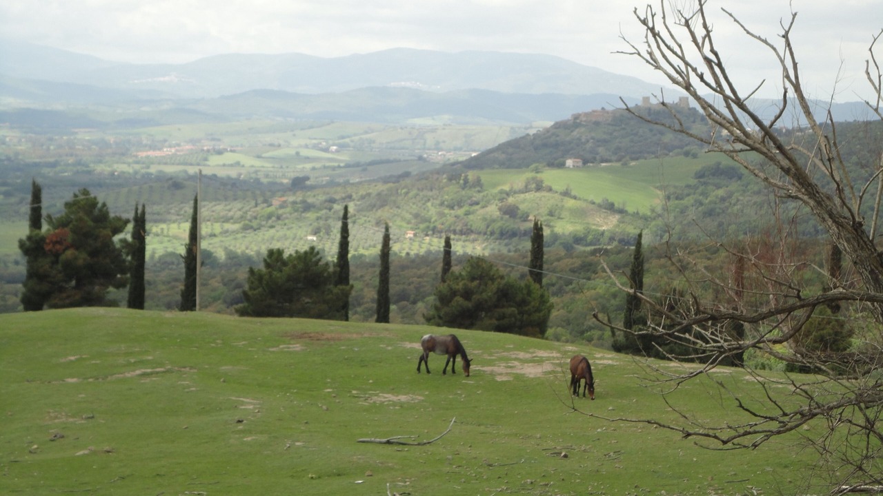 Photo of Others in Roccastrada