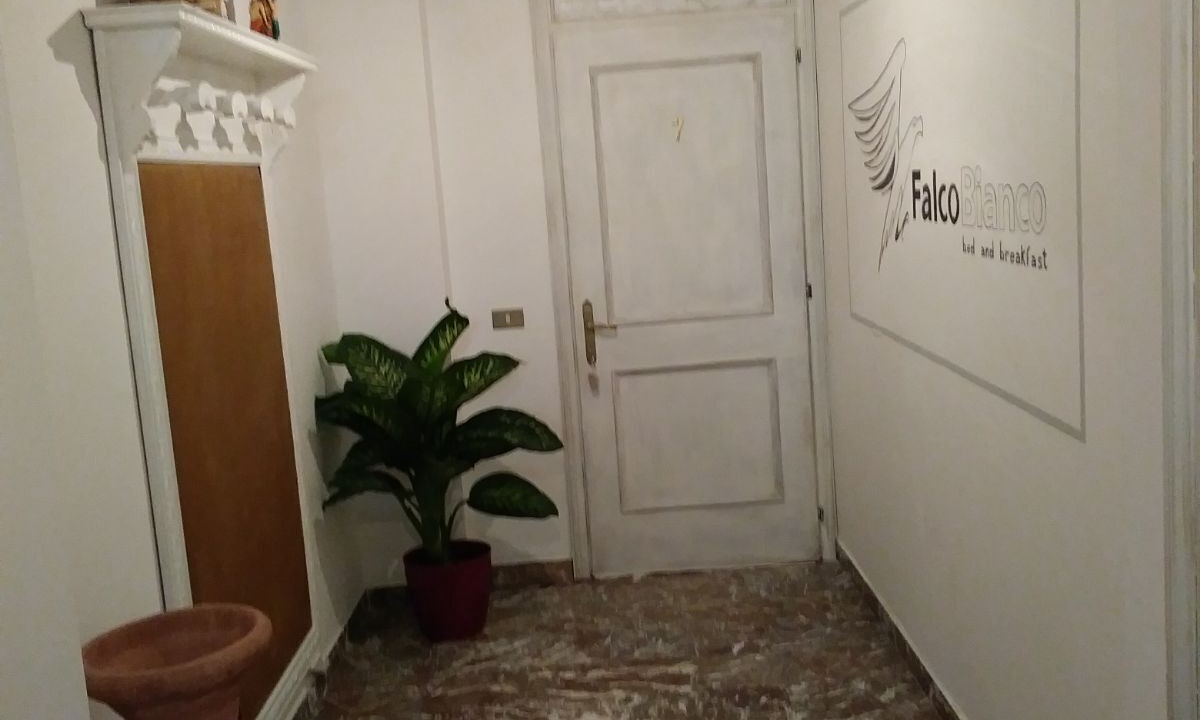 Photo of Others in Pietrauta