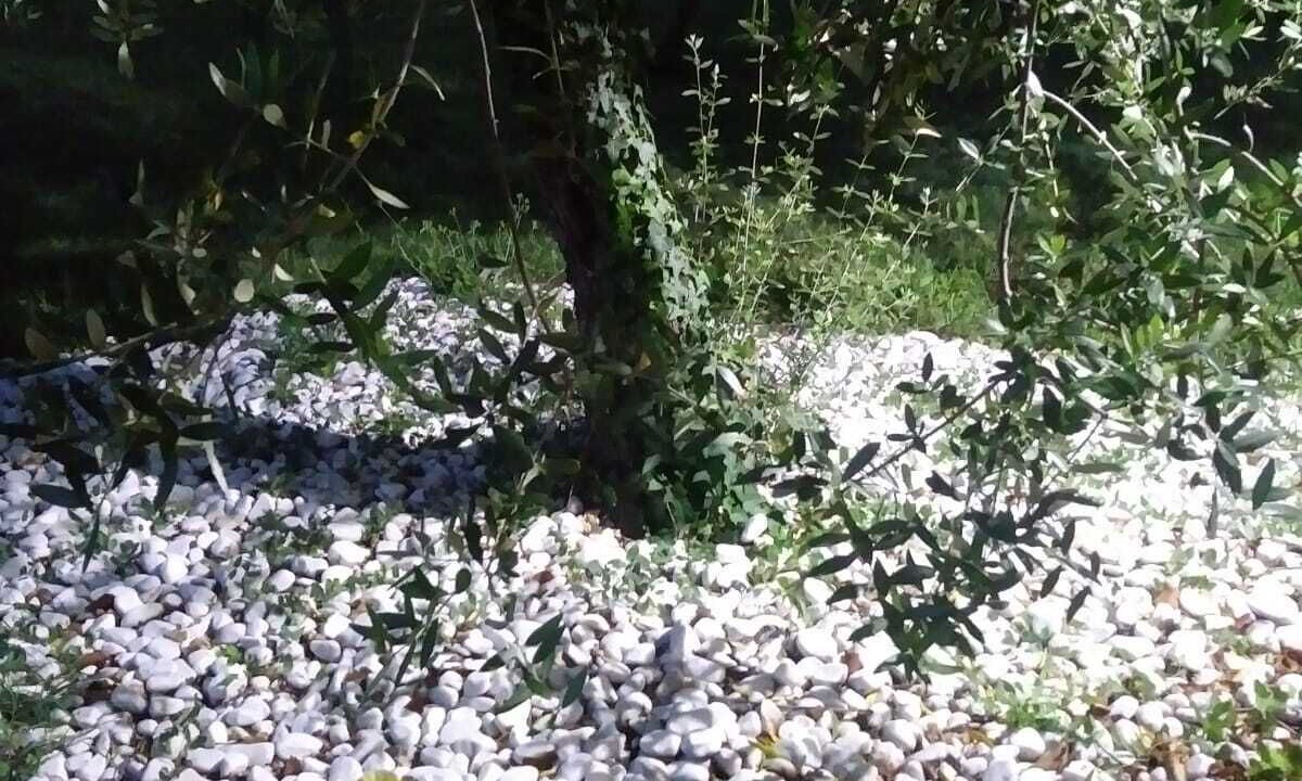 Photo of Outdoor in Pietrauta