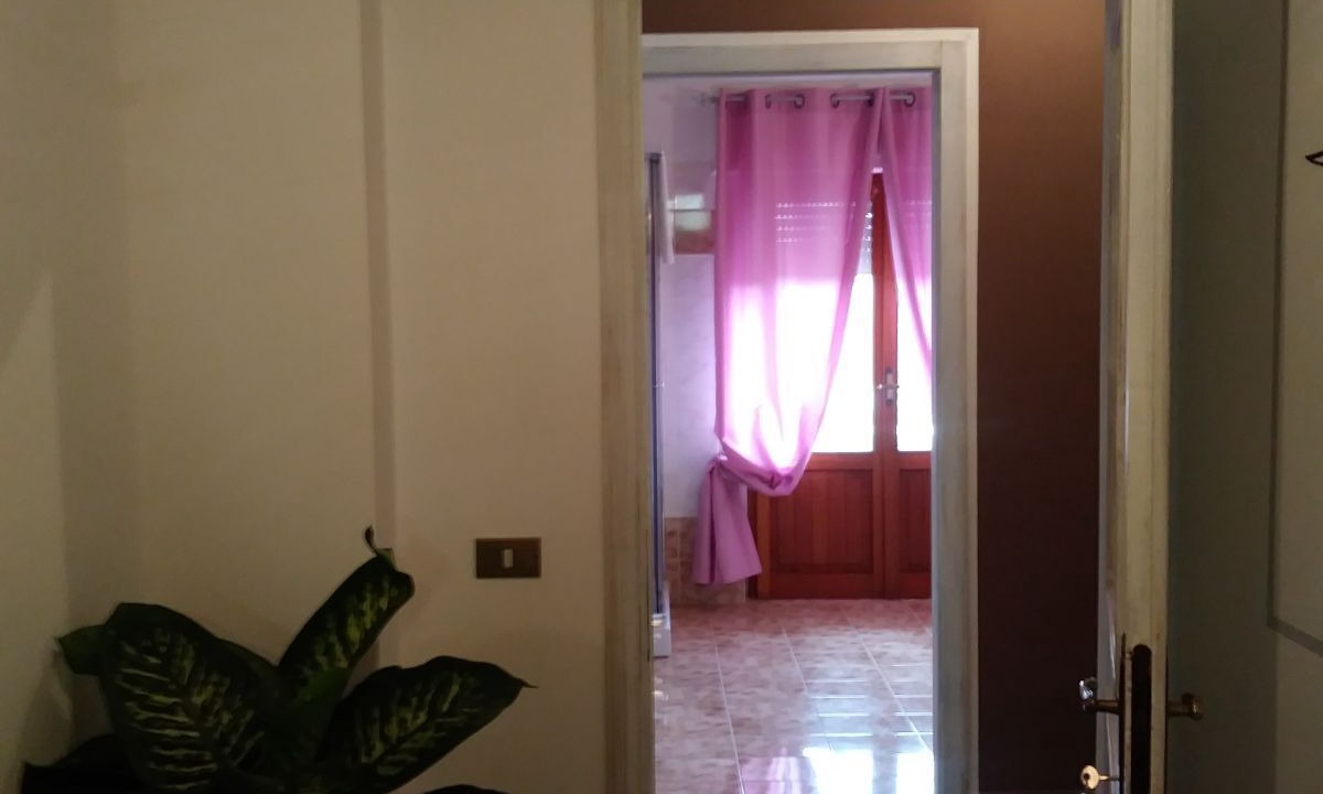 Photo of Others in Pietrauta