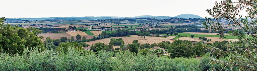 Photo of Others in Lidarno