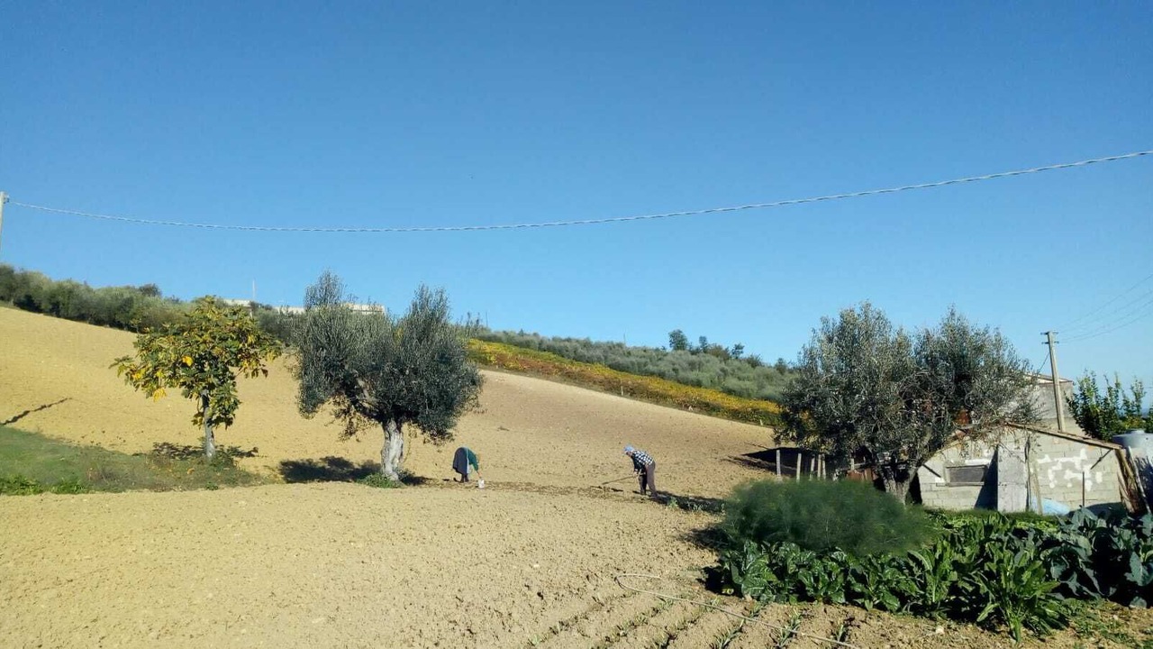 Photo of Others in Nereto