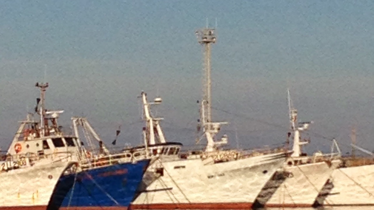 Photo of Others in Monte Argentario