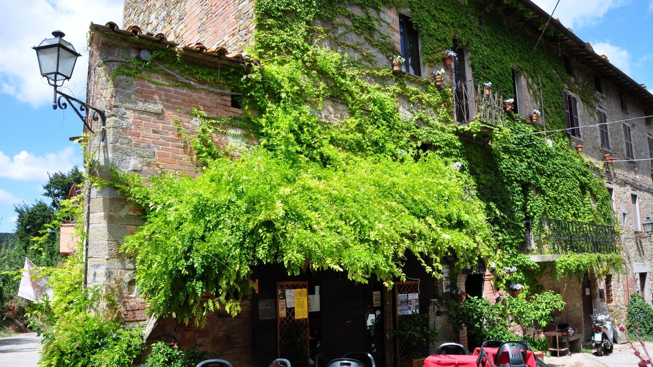 Photo of Outdoor in Magione