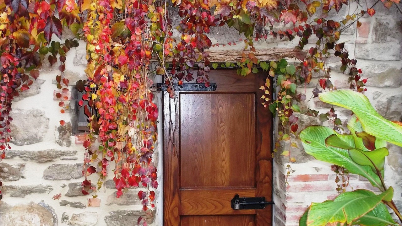 Photo of Outdoor in Magione