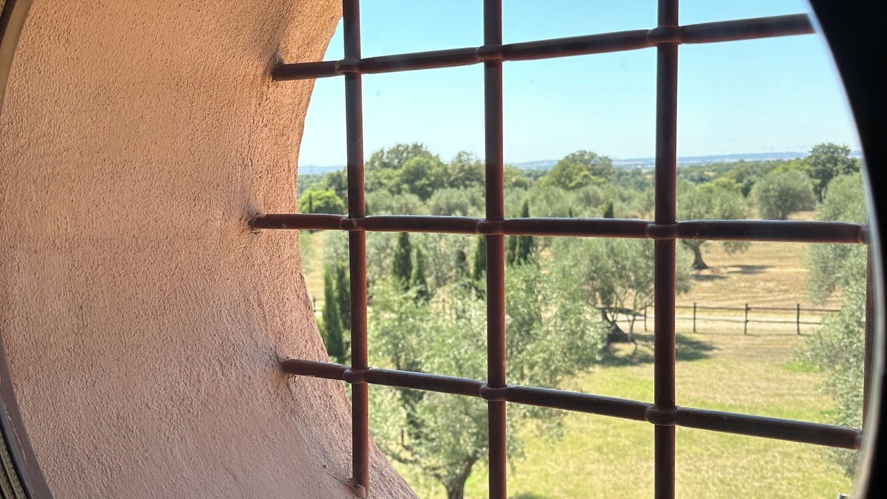 Photo of Others in Montefiascone