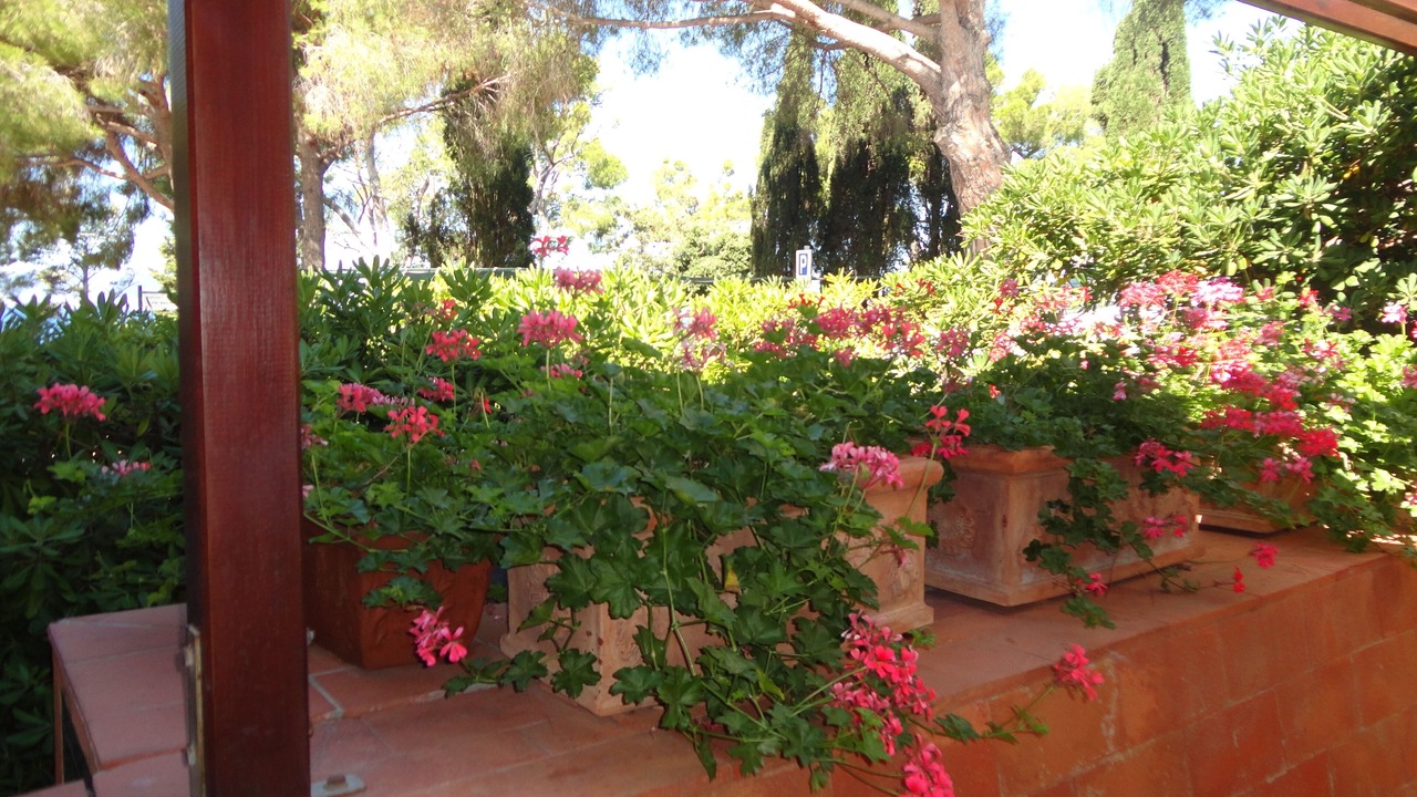 Photo of Outdoor in Cala Piccola