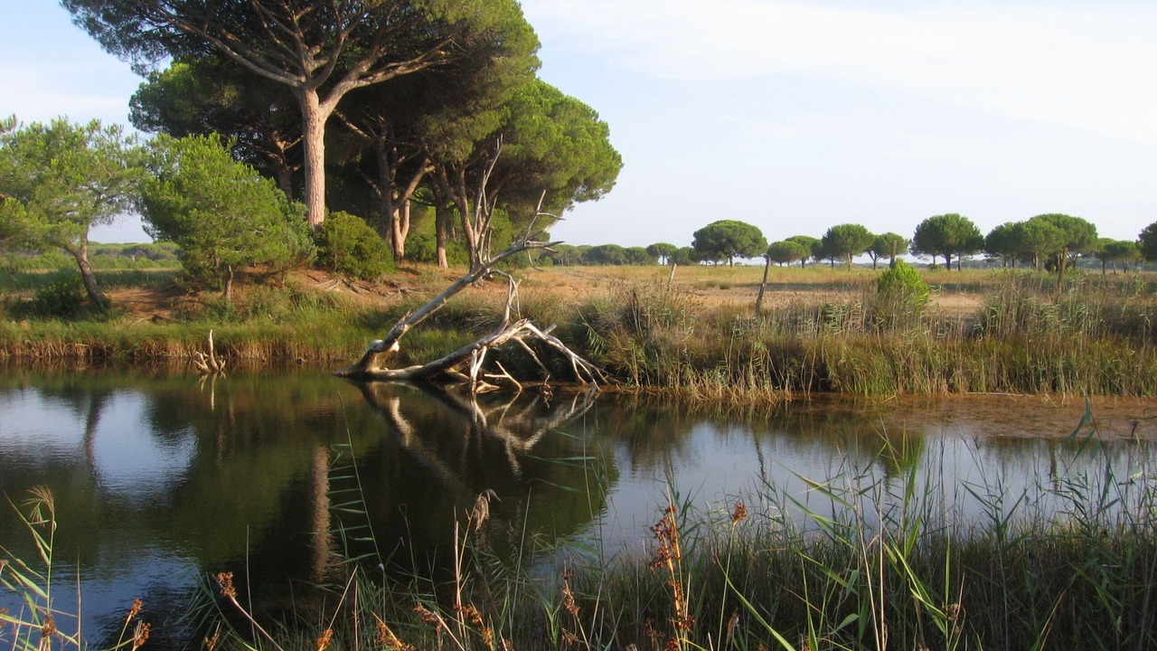 Photo of Outdoor in Principina a Mare
