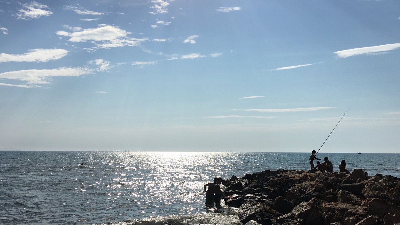 Photo of Others in saline breschi