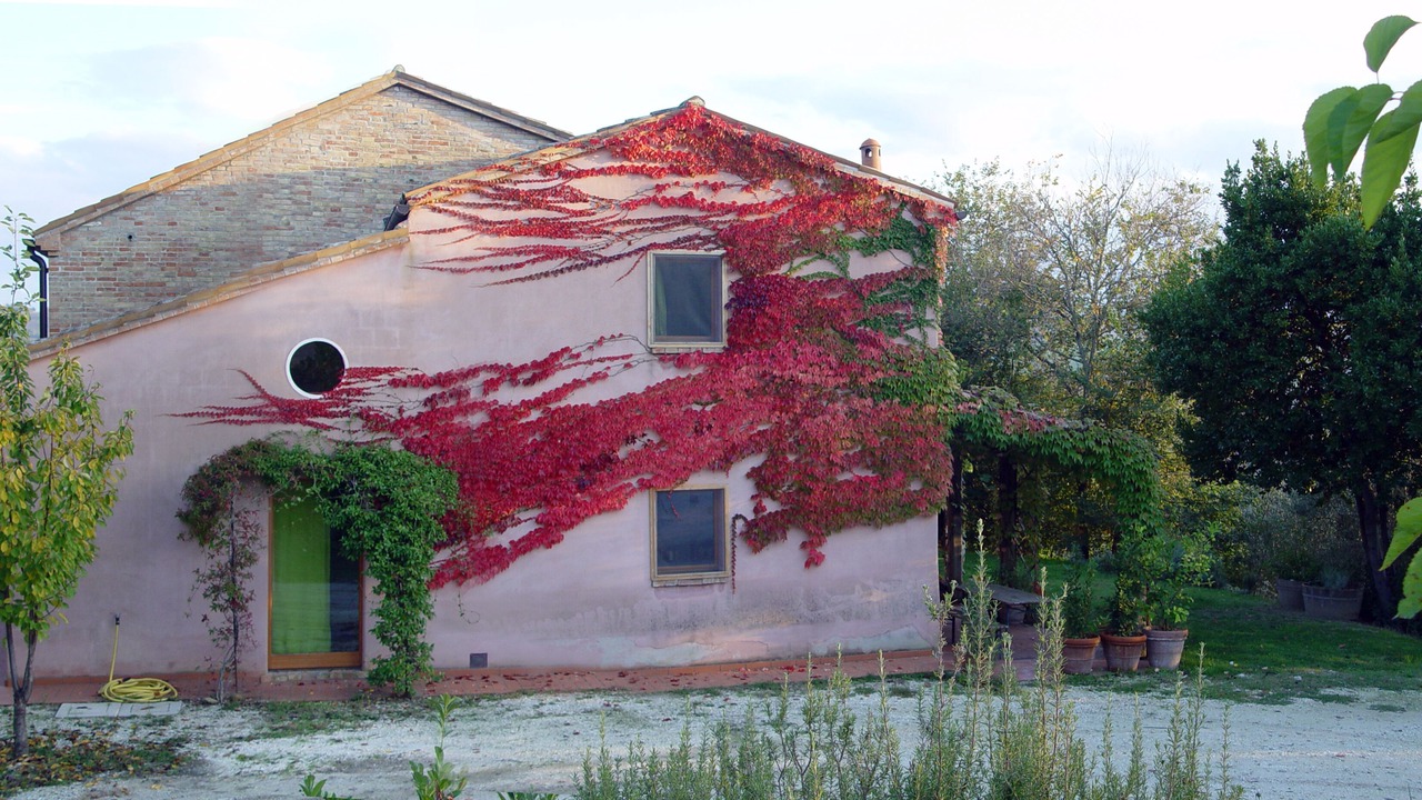 Photo of Outdoor in Barchi