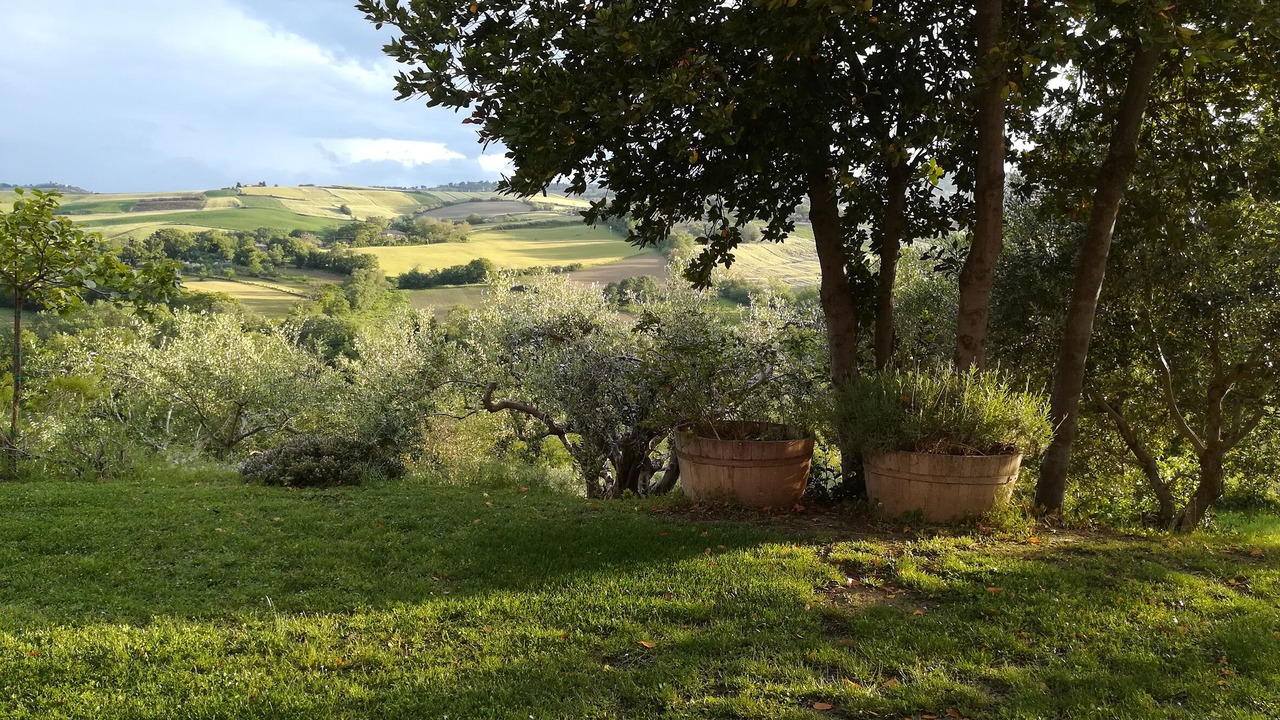 Photo of Outdoor in Barchi