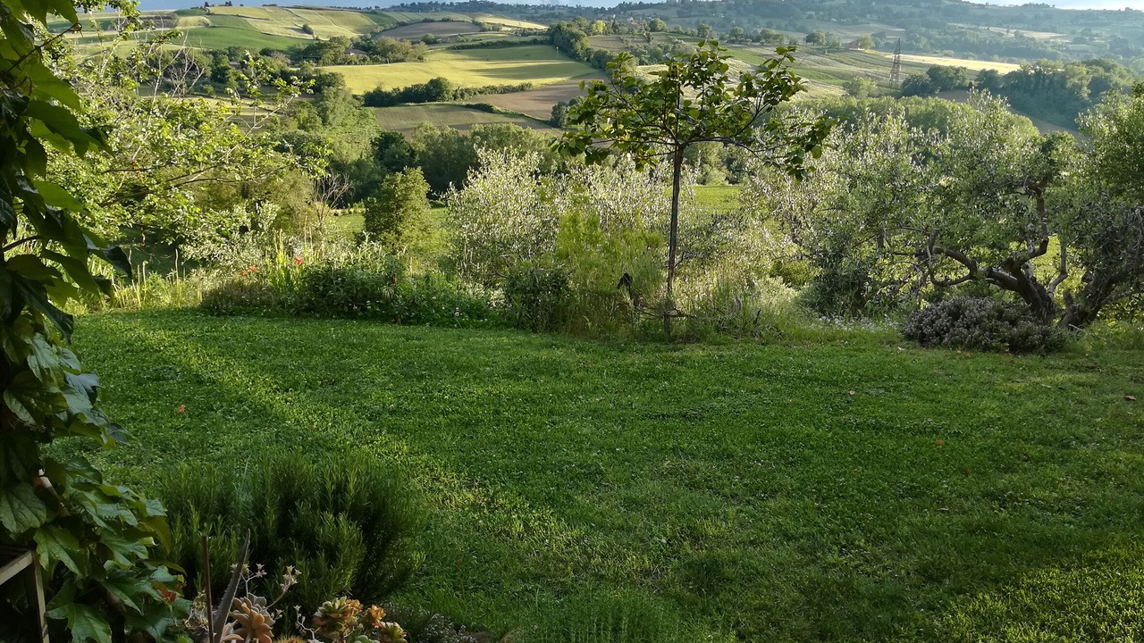 Photo of Outdoor in Barchi
