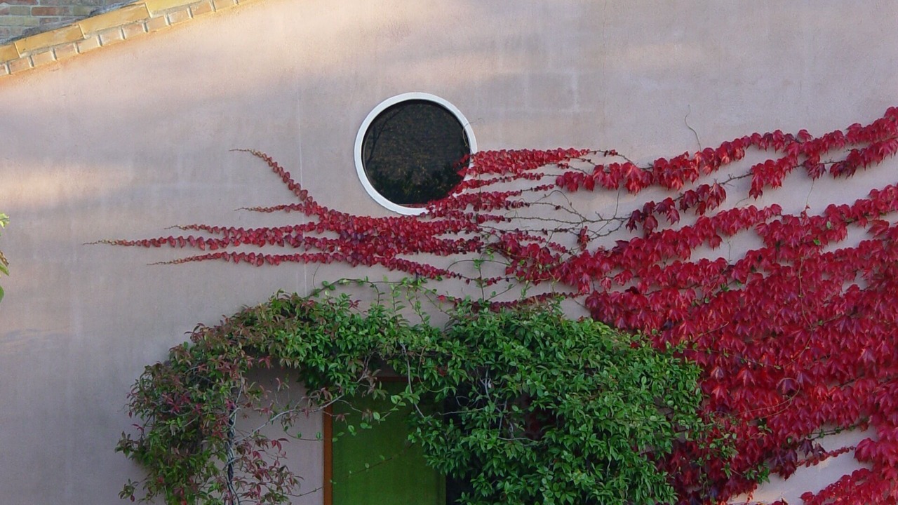 Photo of Outdoor in Barchi