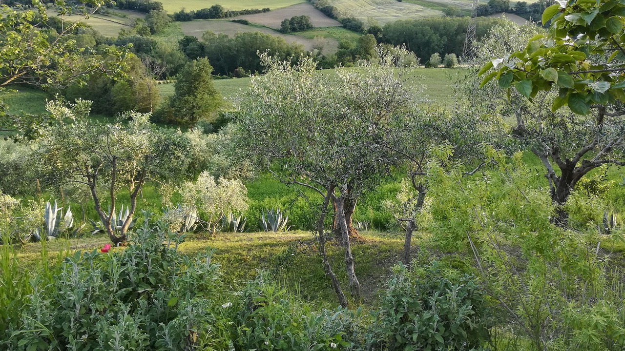 Photo of Outdoor in Barchi