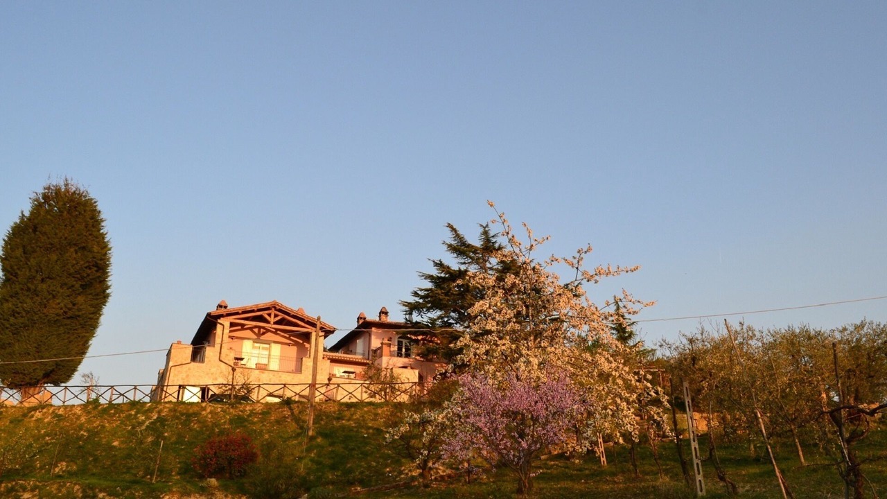 Photo of Outdoor in Collazzone