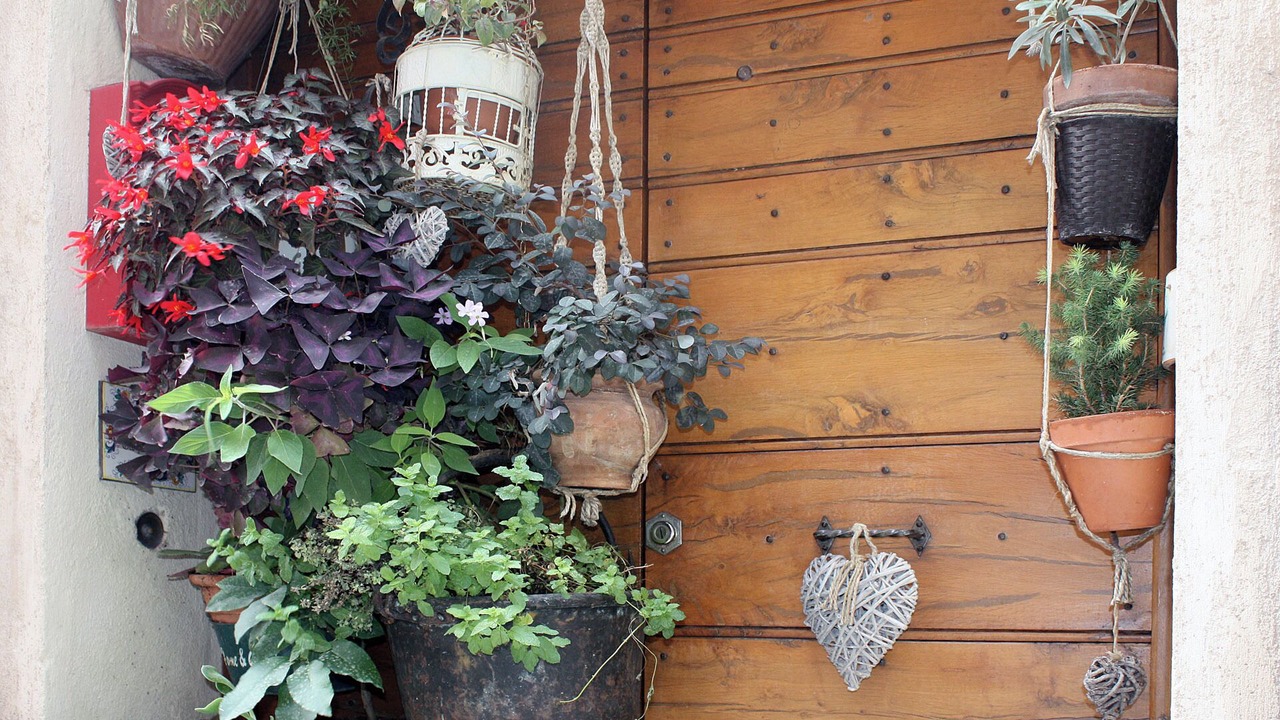 Photo of Outdoor in Spello