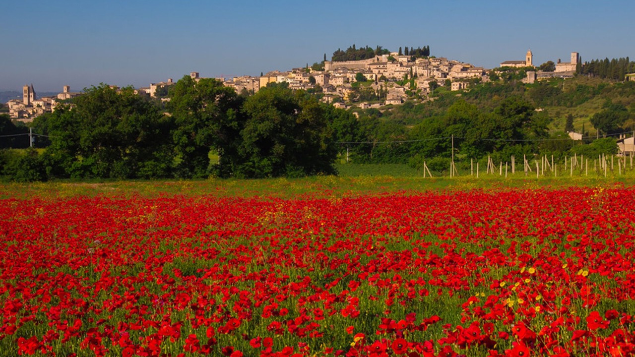 Photo of Outdoor in Spello
