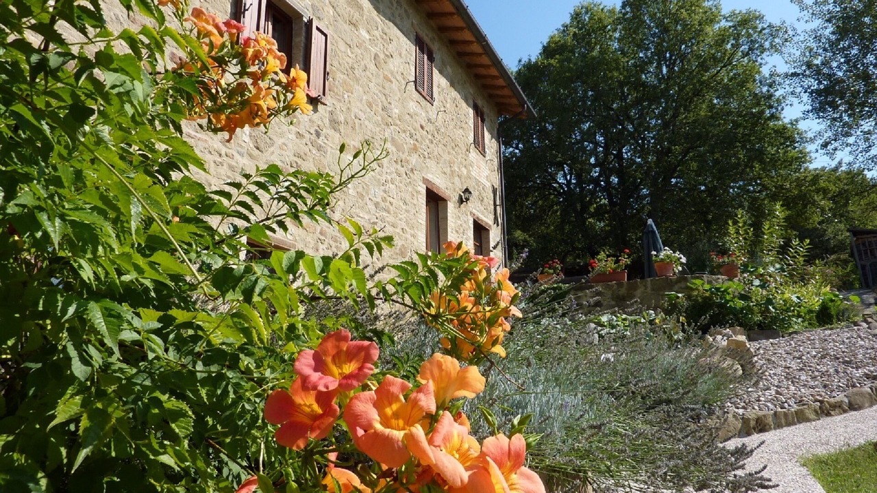 Photo of Outdoor in Spedalicchio
