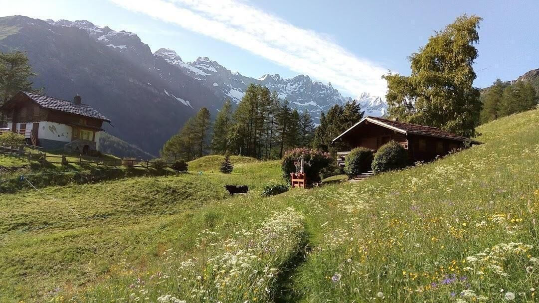 Photo of Outdoor in Valtournenche