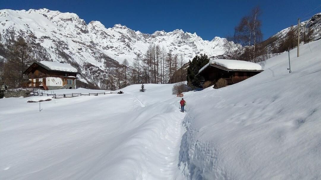 Photo of Others in Valtournenche