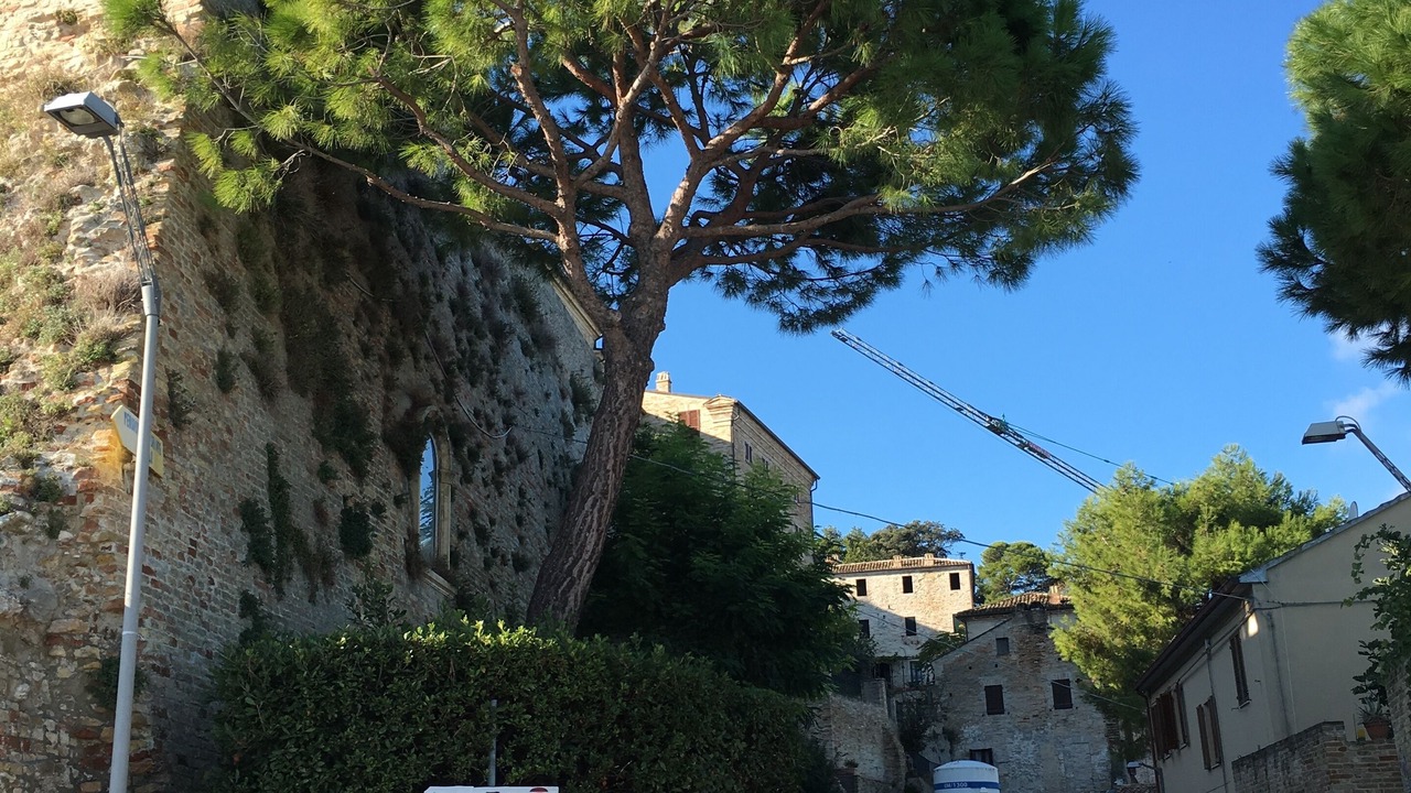 Photo of Others in Cupra Marittima