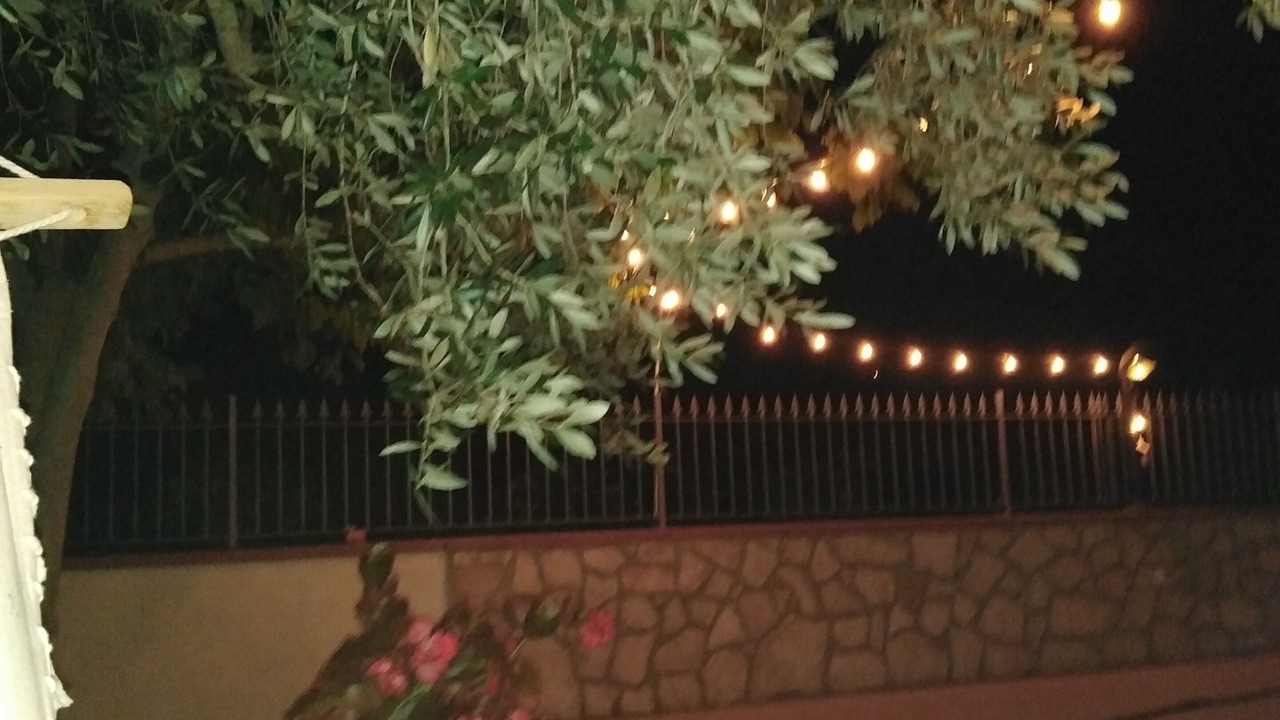 Photo of Outdoor in Torre Orsaia