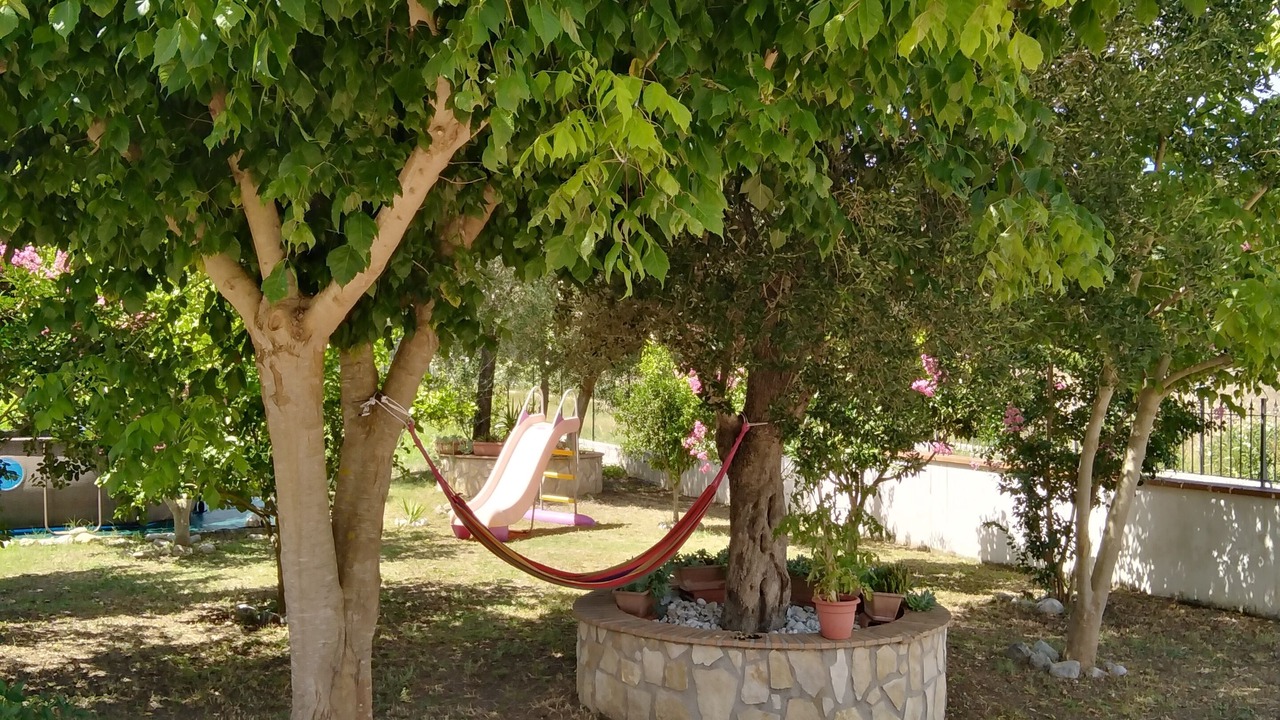 Photo of Outdoor in Torre Orsaia