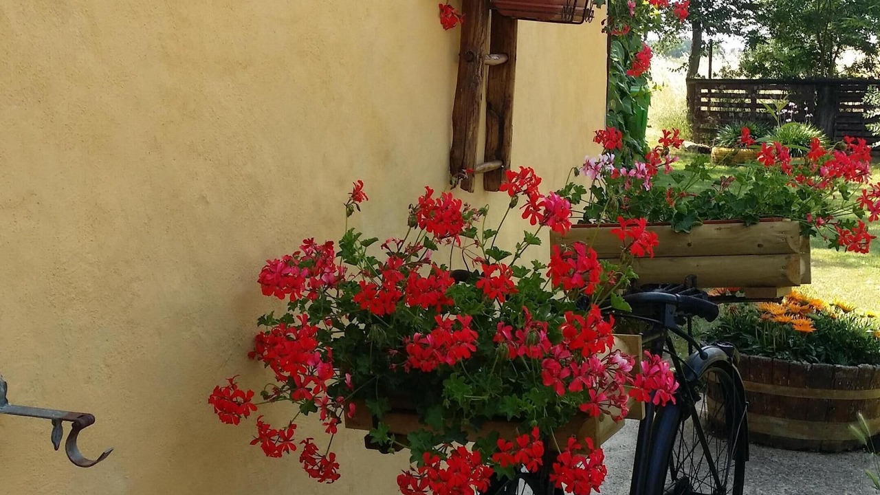 Photo of Outdoor in Castiglione della Pescaia