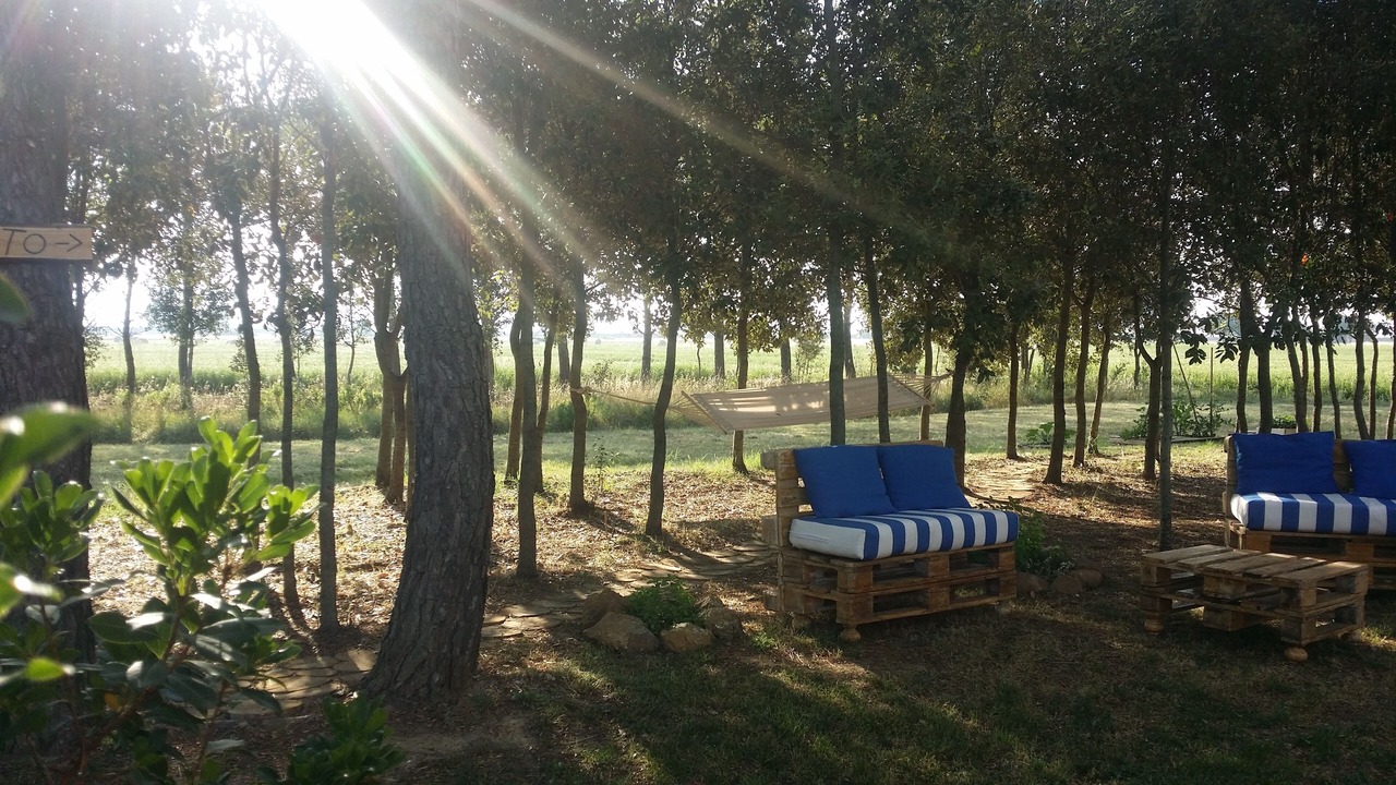 Photo of Outdoor in Castiglione della Pescaia