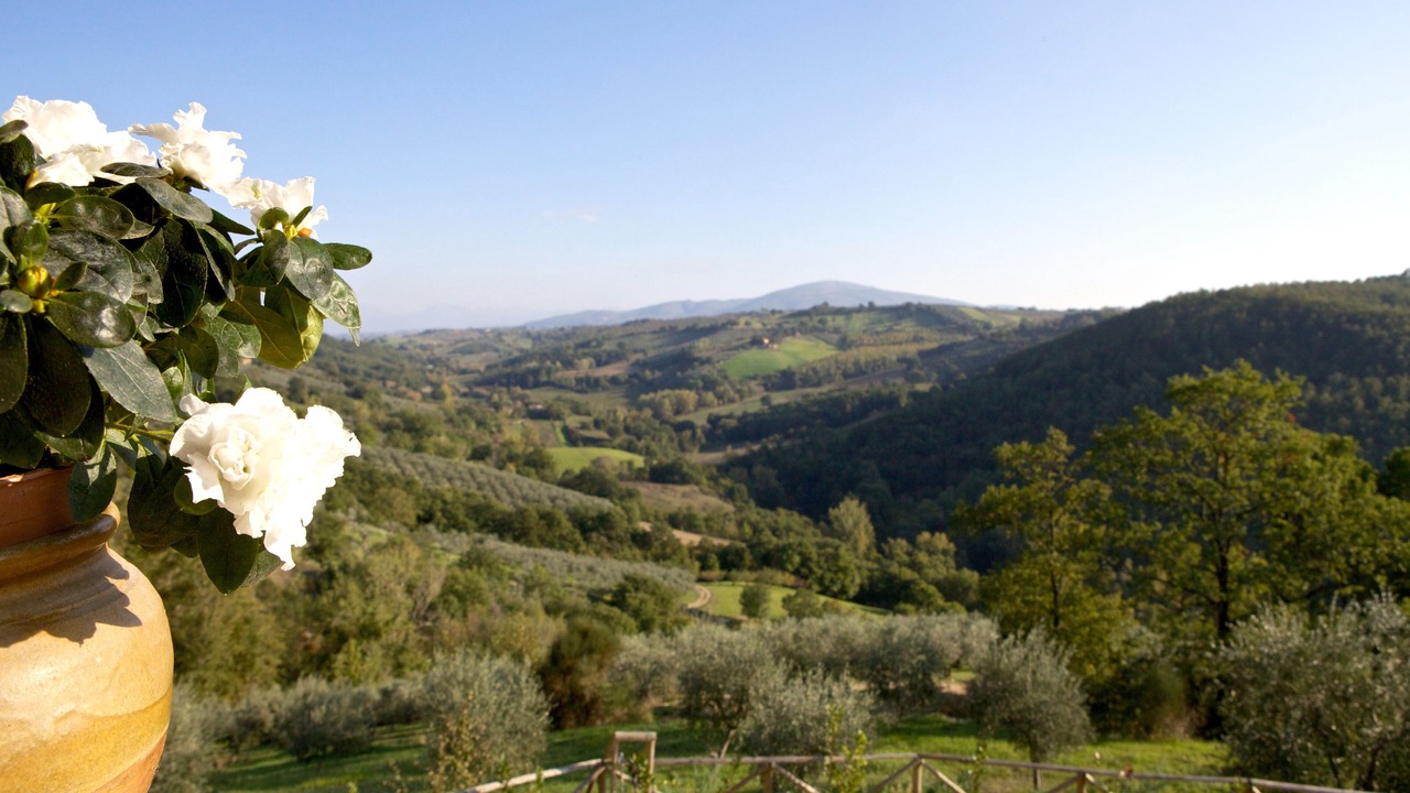 Photo of Outdoor in Gualdo Cattaneo