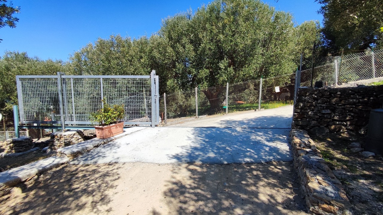 Photo of Outdoor in Ascea