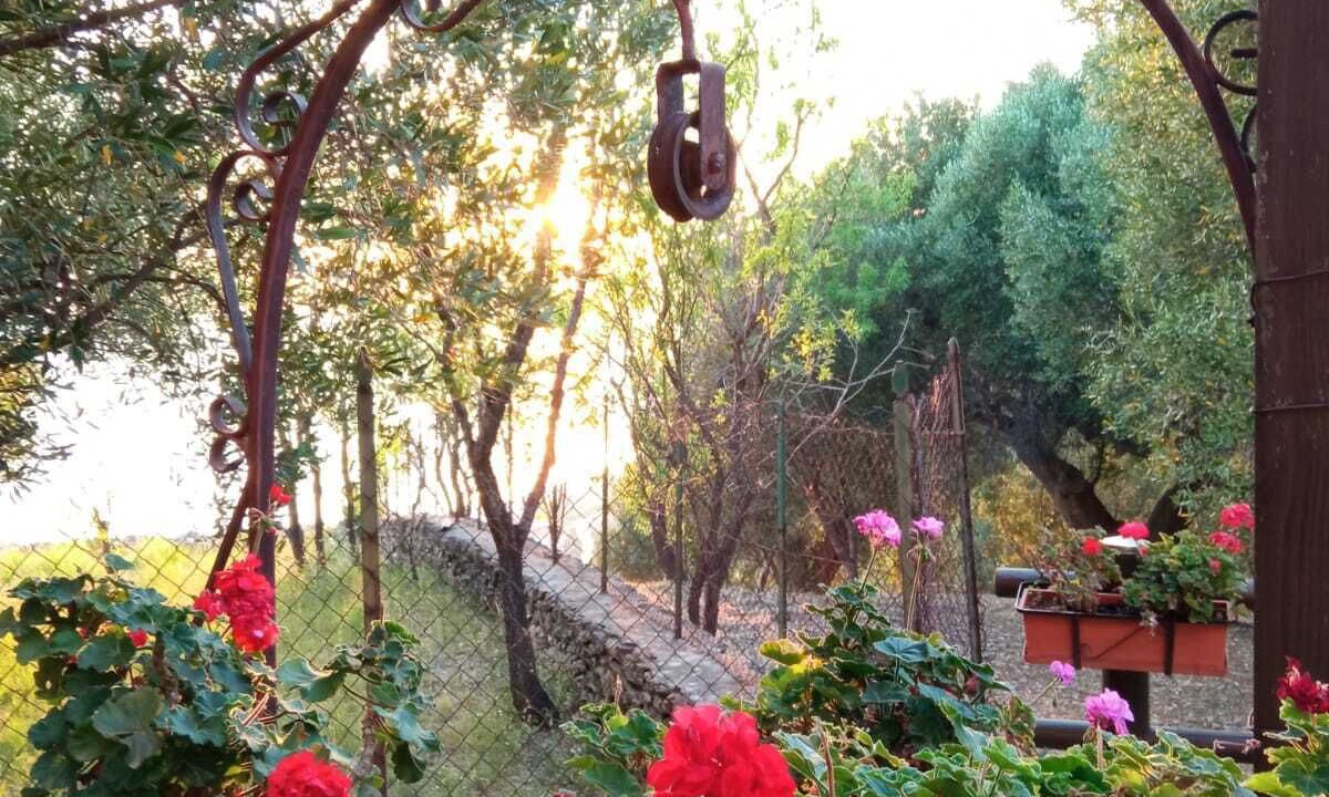 Photo of Outdoor in Ascea