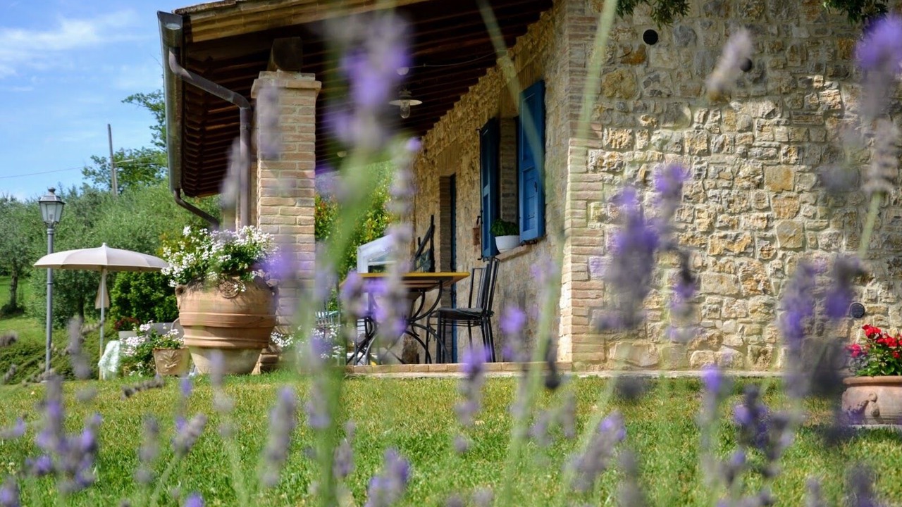 Photo of Outdoor in Collazzone
