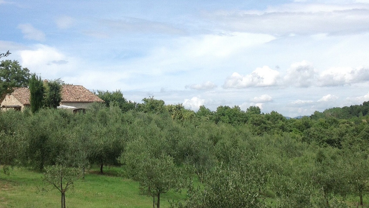 Photo of Others in Bivio Lugnano