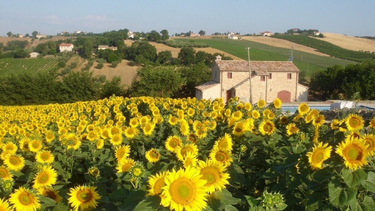 Photo of Others in Ostra Vetere