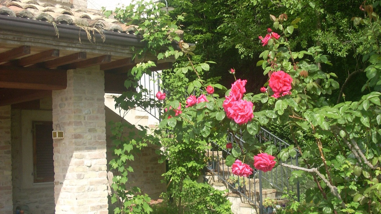 Photo of Outdoor in Campofilone