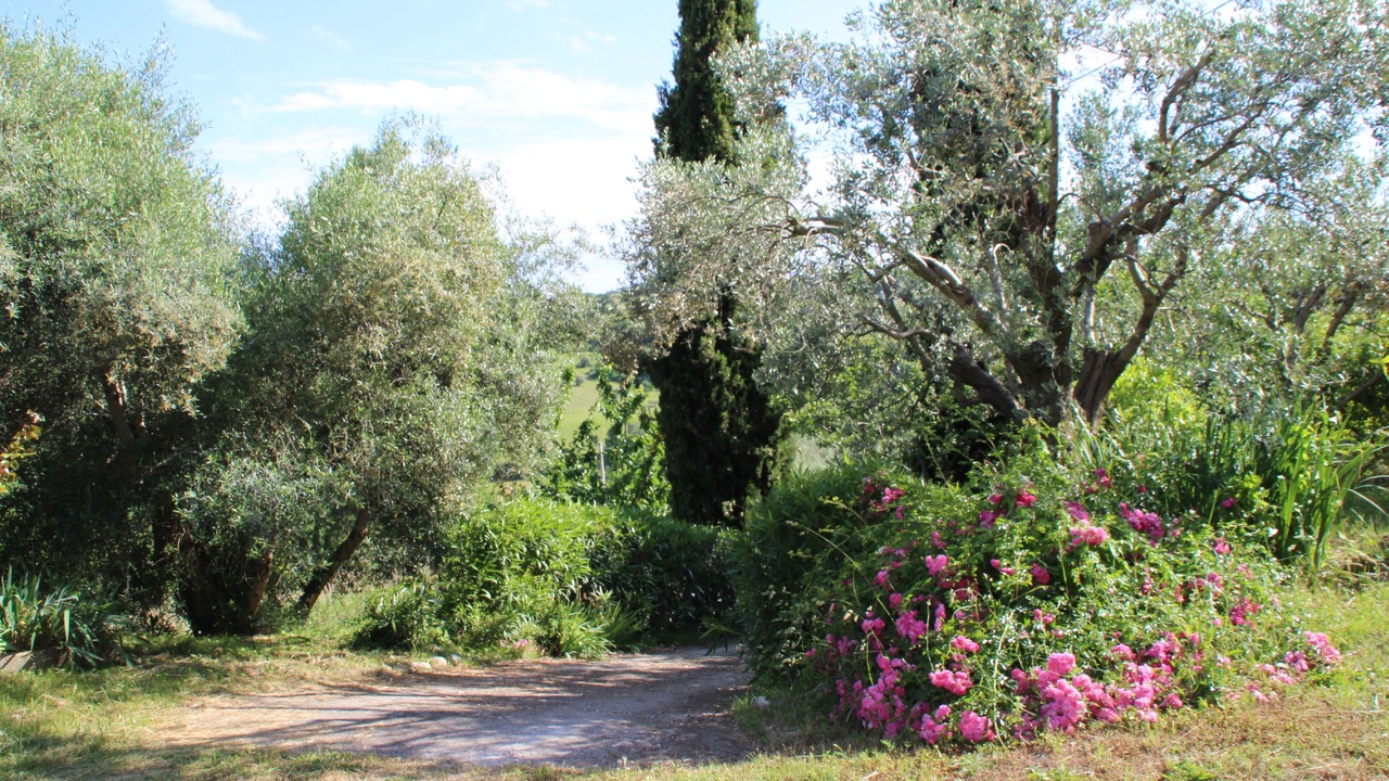Photo of Outdoor in Campofilone