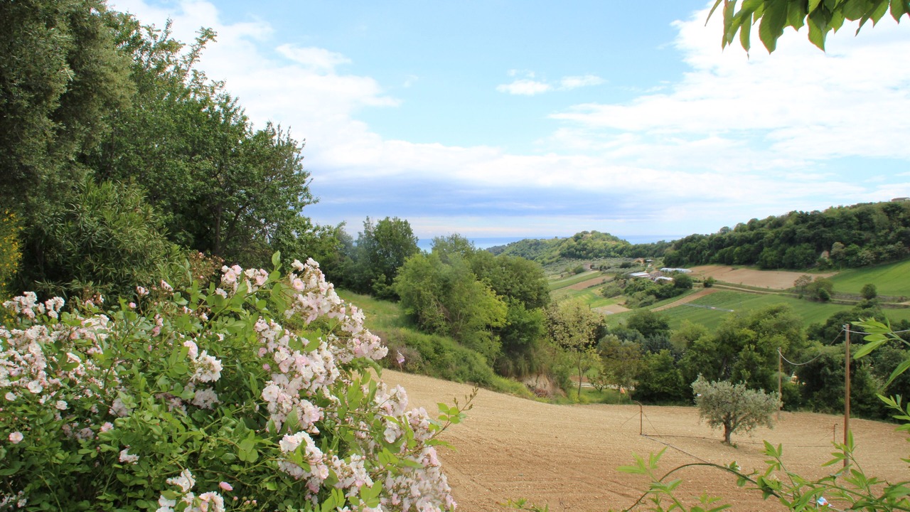 Photo of Outdoor in Campofilone