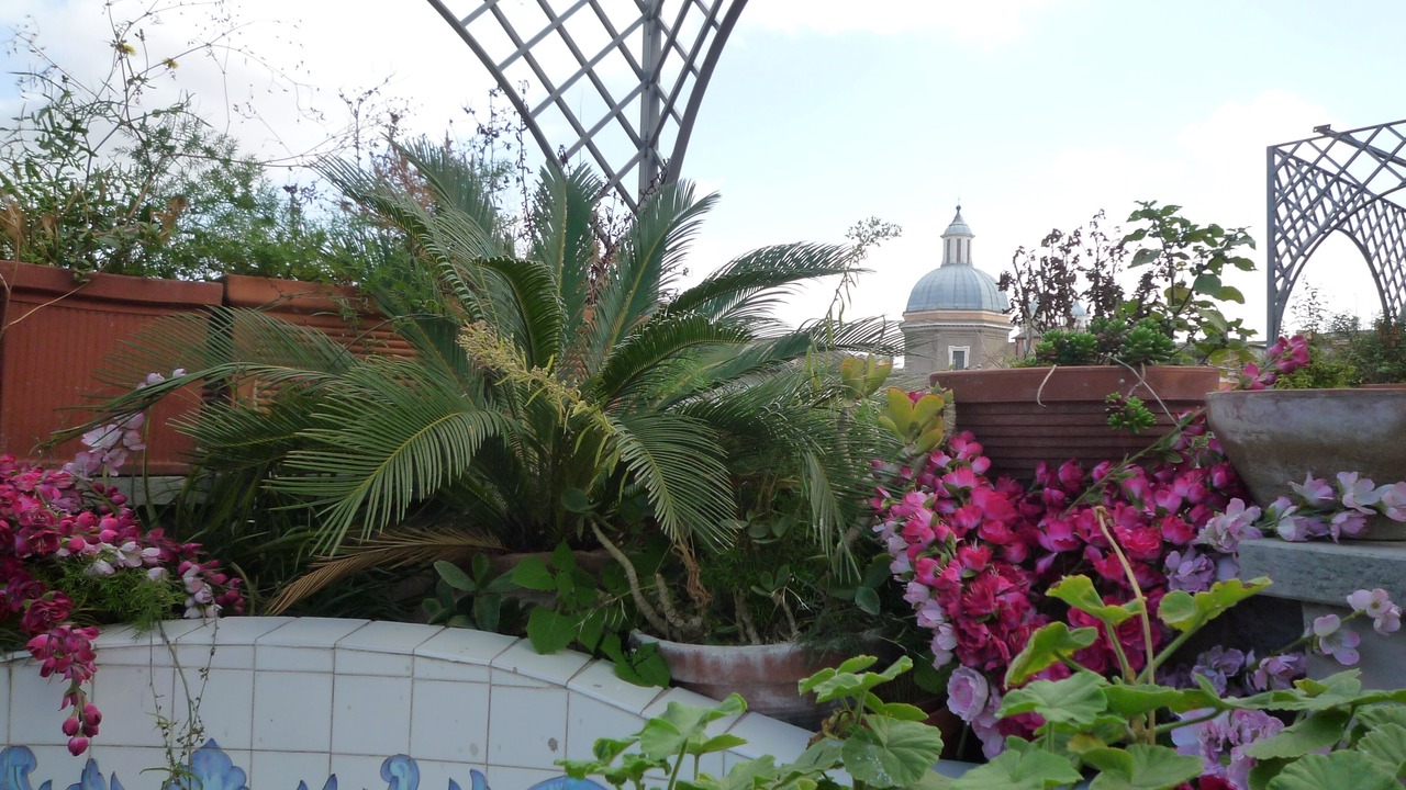 Photo of Outdoor in Rione VII Regola