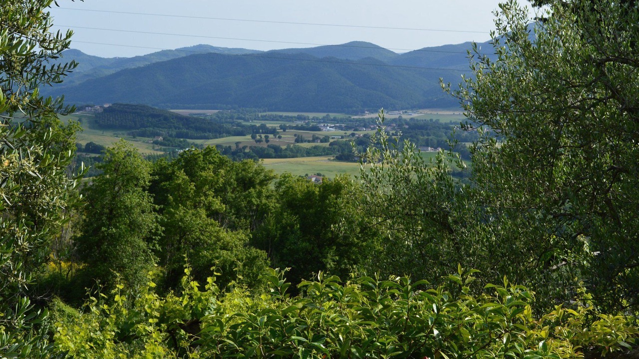 Photo of Outdoor in Montelovesco