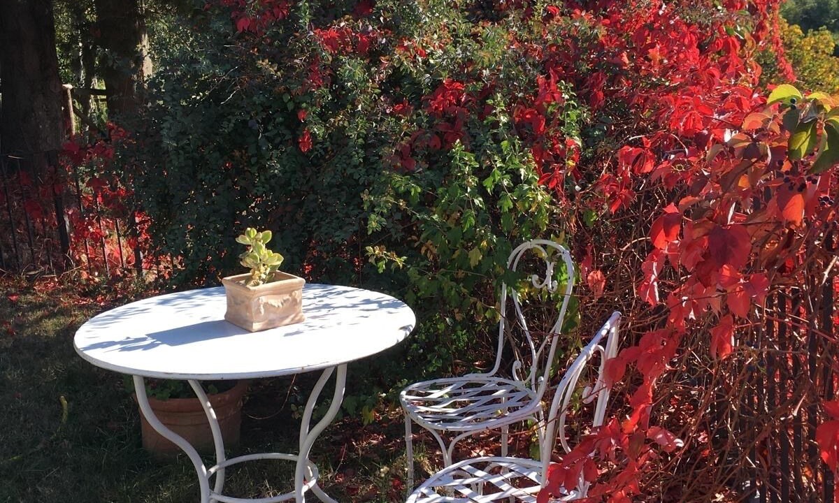 Photo of Outdoor in Montelovesco