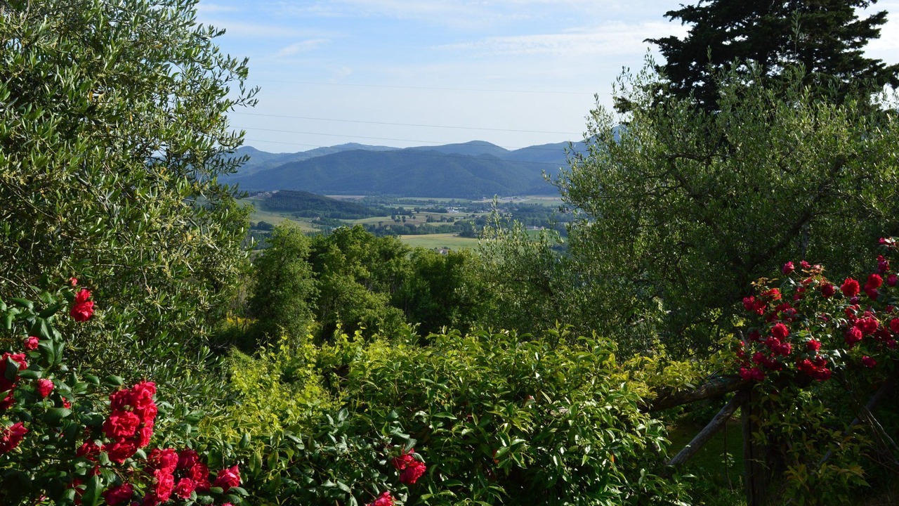 Photo of Outdoor in Montelovesco