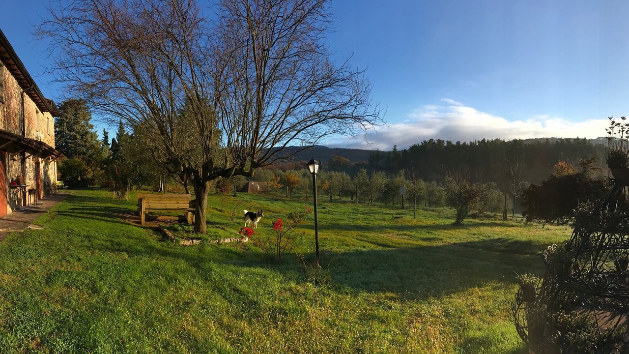Photo of Outdoor in Citta della Pieve