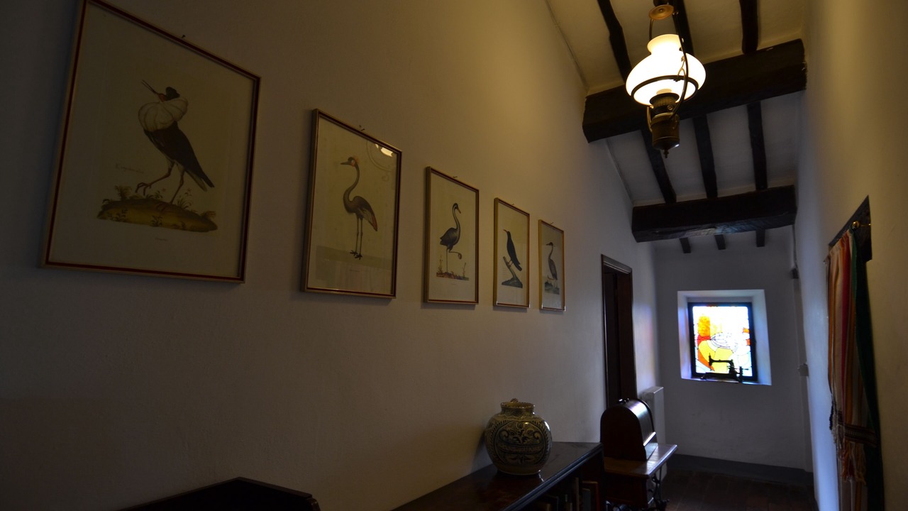 Photo of Others in Citta della Pieve