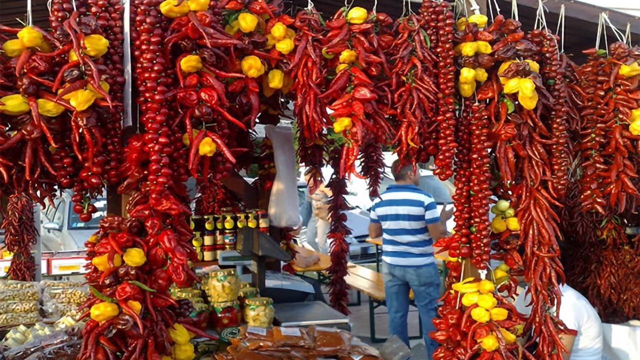 Photo of Outdoor in Scalea