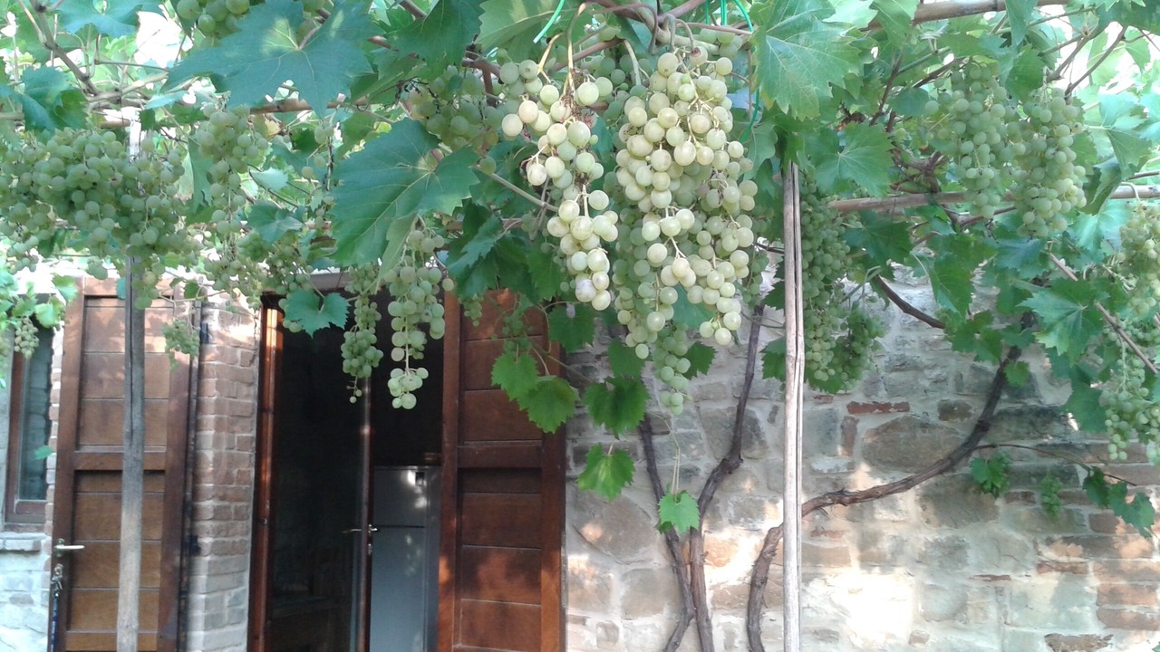 Photo of Outdoor in Rotella
