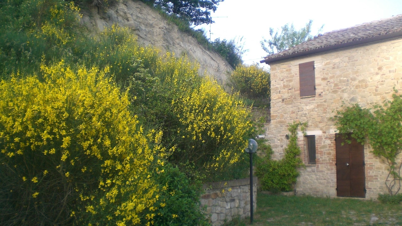 Photo of Outdoor in Rotella