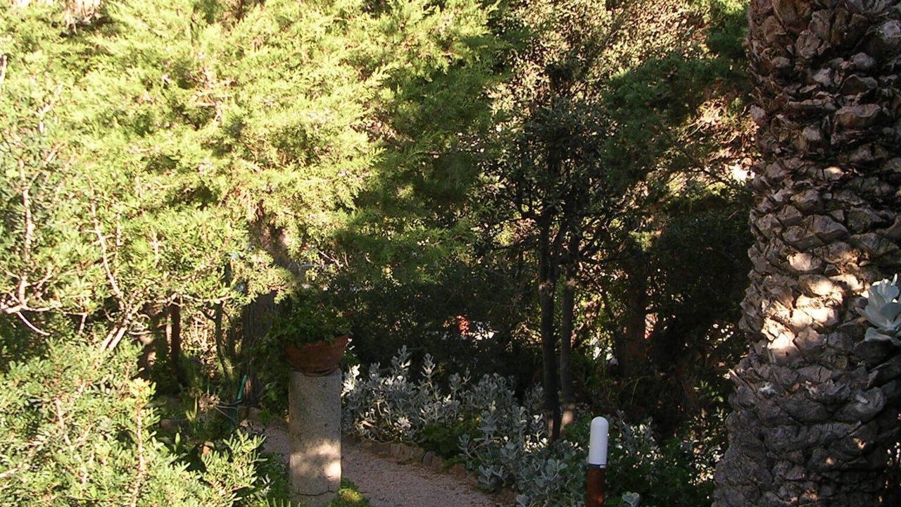 Photo of Outdoor in Giglio Campese