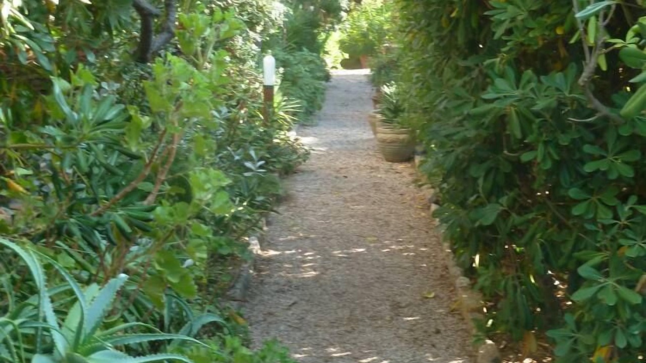Photo of Outdoor in Giglio Campese